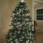 27-Nov-Christmas-Tree-003