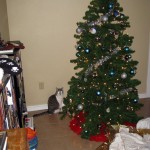 Christmas-2009-002