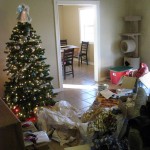 Christmas-2009-008